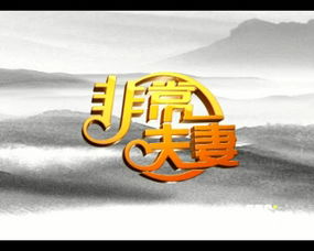 北京5DS五諦 數字藝術與媒體品牌整合服務的引領者